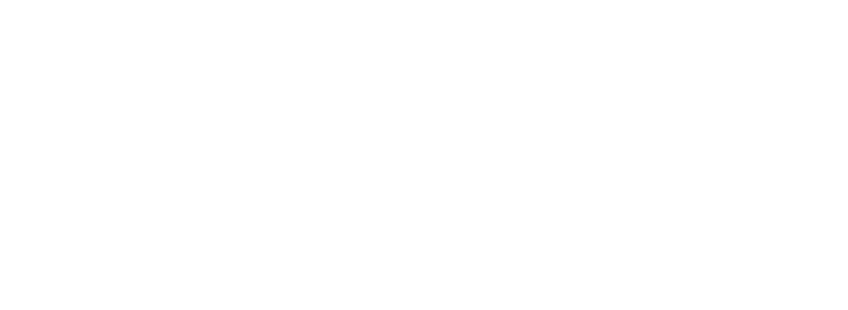 OLBI INTERNATIONAL